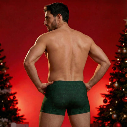 Maestro Edition | Symphonic Velvet-Inspired Emerald Men's Boxer Briefs