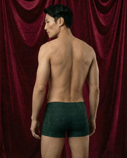 Maestro Edition | Symphonic Velvet-Inspired Emerald Men's Boxer Briefs