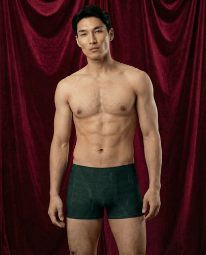 Maestro Edition | Symphonic Velvet-Inspired Emerald Men's Boxer Briefs